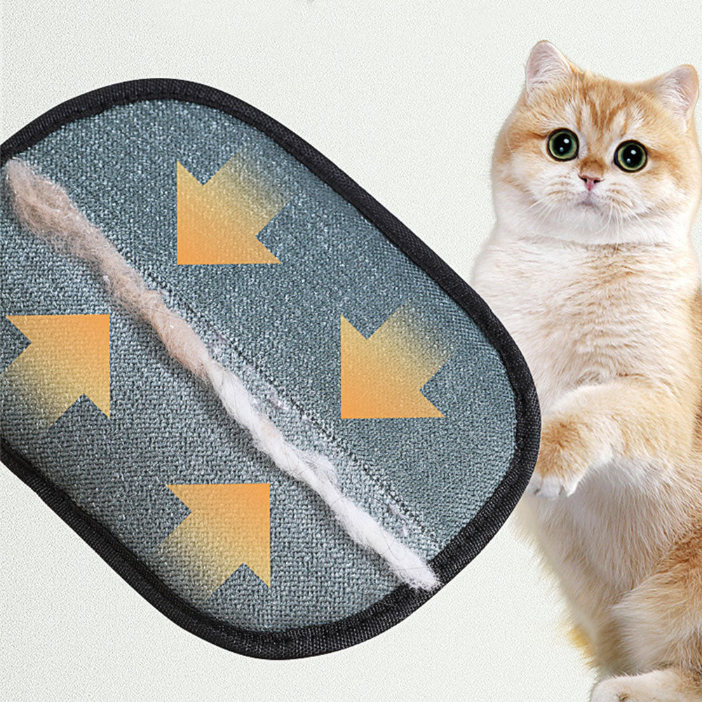 Remove Pet Hair in Seconds, No Vacuum Needed